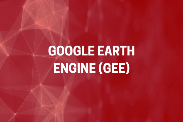 Google Earth Engine (GEE)