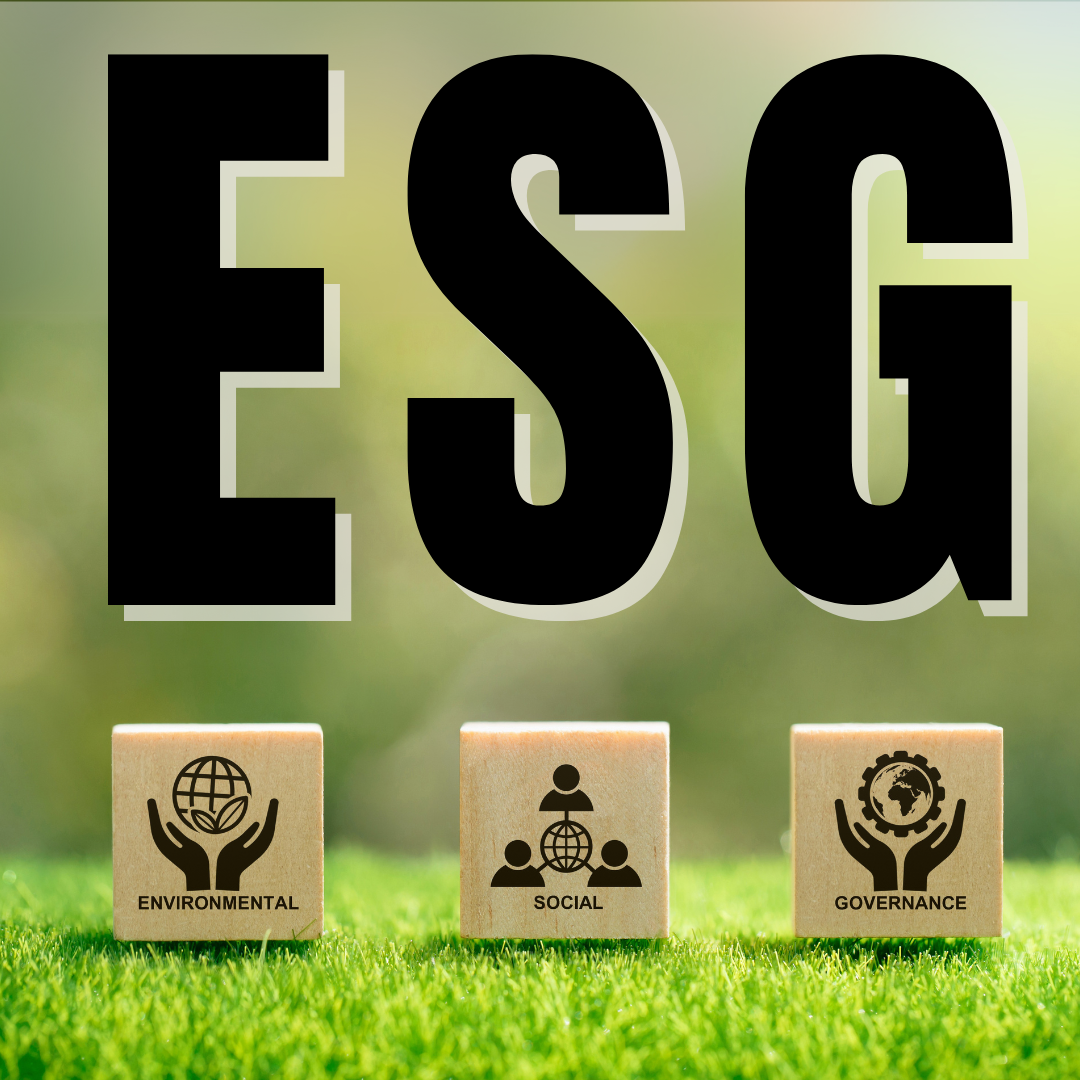 ESG (Environmental, Social and Governance) ed Economia Circolare Corso ESG