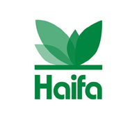 Logo-Haifa Group Italia